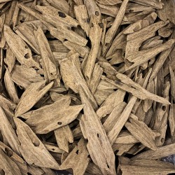 كمبودي مستزرع محسن