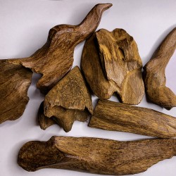 موروكي كسر مباخر وأكبر سوبر مرتفع